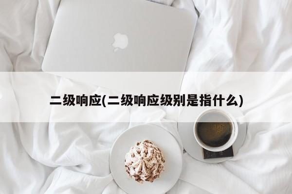 二级响应(二级响应级别是指什么)