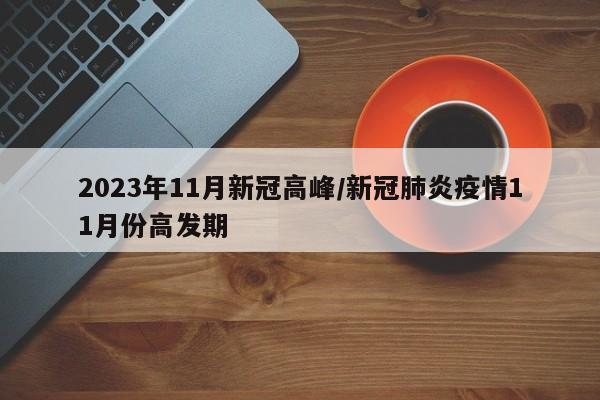 2023年11月新冠高峰/新冠肺炎疫情11月份高发期