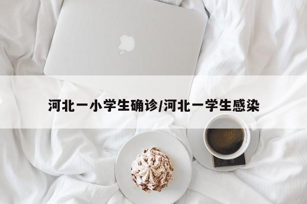 河北一小学生确诊/河北一学生感染