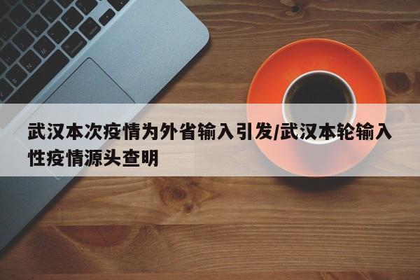 武汉本次疫情为外省输入引发/武汉本轮输入性疫情源头查明
