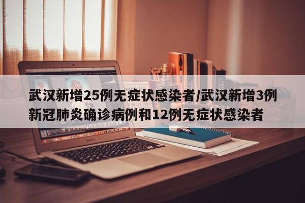 武汉新增25例无症状感染者/武汉新增3例新冠肺炎确诊病例和12例无症状感染者