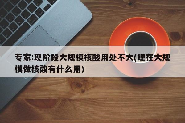 专家:现阶段大规模核酸用处不大(现在大规模做核酸有什么用)